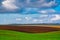 Plowed farm field with young green shoots