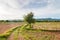 Plowed farmland