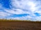 Plowed field with blue sky