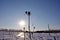 Plowed field covered with snow, Datura stramonium jimsonweed, jimson weed, devil`s snare dry twig silhouette