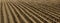 Plowed field with deep furrows, wide banner