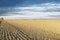 Plowed field in drought, landscape