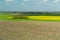 Plowed field, group of trees and sky, rural landscape