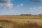 Plowed field after harvesting