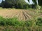 Plowed field in the late afternoon in Tuscany, Italy