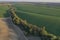 Plowed field and lush green forest on the background of wheat or barley field.