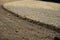 Plowed field, preparation for sowing. Agricultural landscape. Detail.