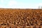 Plowed field prepared for sowing winter crops