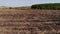 Plowed field in the spring. Aerial view