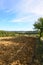 Plowed Field in Tuscany