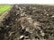 Plowed field with Ukrainian chernozem. Closeup.