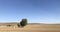 A plowed field for wheat cultivation