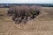 The plowed field, the woods, the view from the drone, the patterns on the field