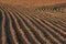 Plowed fields with furrow patterns