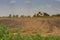 Plowed furrows in Hanadiv valley, Israel