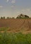 Plowed furrows in Hanadiv valley, Israel