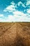 Plowed Furrows Of A Potato Field