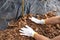 The plowed garden in front of the fence by the house, covered with black agrofibre, the woman is spreading the bark