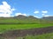 Plowed and green fields at Avoca valley of Southern Drakensberg