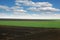 Plowed and green wheat field in spring