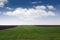 Plowed and green wheat field in spring landscape