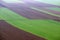 Plowed and green wheat fields