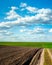 plowed and grren wheat field with dirt road in spring, beautiful blue sky with clouds