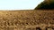 Plowed land field near the forest belt