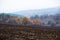 Plowed land near forest forest near plowed land