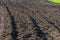Plowed, planted and hilling rows black-earth field. Ground texture.