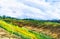 Plowed Russian field with forest in the background and grass in the foreground. Watercolor illustration of a rural location