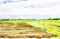 Plowed Russian field with forest in the background and grass in the foreground. Watercolor illustration of a rural location