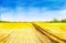 Plowed Russian field with forest in the background and grass in the foreground. Watercolor illustration of a rural location