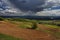 Plowed soil and rain in background