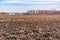 Plowed spring field