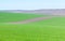 Plowed terrain and green field