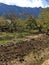 Plowing garden with large trees. Springtime plowing the field. in the distance, the farmer and the horse plow the farmers field