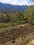 Plowing garden with large trees. Springtime plowing the field. in the distance, the farmer and the horse plow the farmers field