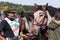 Plowing horses on field on ploughing championship