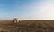 Plowing of stubble field