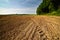 Plown field along a forest under a blue sky