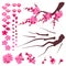 Plum Blossom Elements Set.