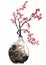 Plum Blossoms In A Vase Illustration 