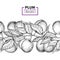 Plum branch seamless vintage border. Hand drawn isolated fruit.