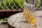 Plum brandy in shot glasses on wooden table