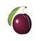 Plum cartoon vector illustration, icon. Ripe sweet fruit