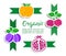 Plum, cherry, pomegranate, apple stickers with green ribbons. Organic hand-drawn lettering text inscription. Natural fruit product