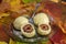 Plum dumplings on the plate on real autumnal colorful leaves with white sugar icing, tasty czech cuisine