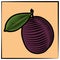 Plum-engraving-color