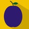 Plum flat icon